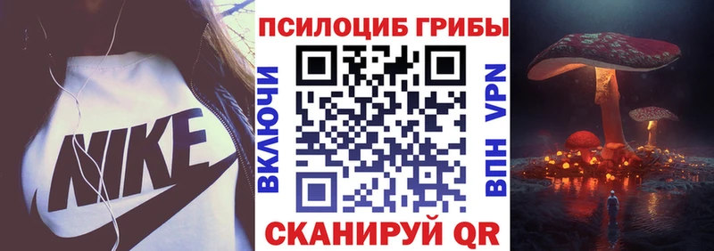 Галлюциногенные грибы Psilocybe  где продают наркотики  Няндома 